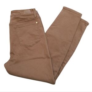 Judy Blue Brown Skinny Jeans